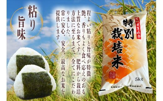 鹿嶋市の子どもたちが食べている特別栽培米コシヒカリ（5kg×1袋）(KBS-1)