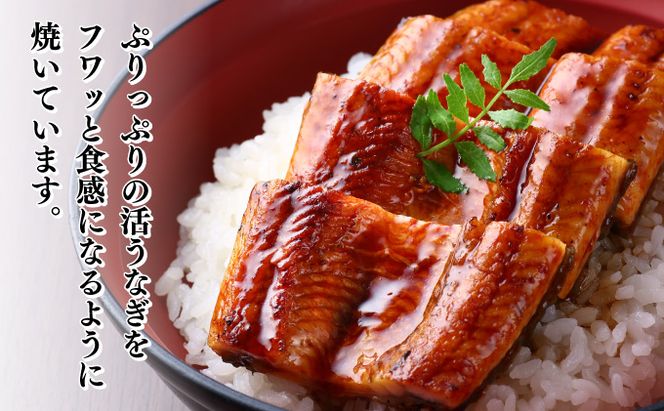 初音の厳選高知県産うなぎ蒲焼き２尾　 hn093!