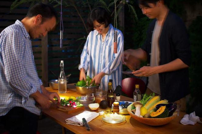 【世界初の全方位受光ソーラー】スフェラースティック（ソーラーLEDペンライト）＜ネイビー＞［ 京都 世界初 太陽電池 スフェラ―パワー ランプ アウトドア キャンプ LEDライト LED 災害用 電気 間接照明 照明 ふるさと おしゃれ かっこいい 京都 通販 送料無料 ふるさと納税 ］  261009_B-TM07