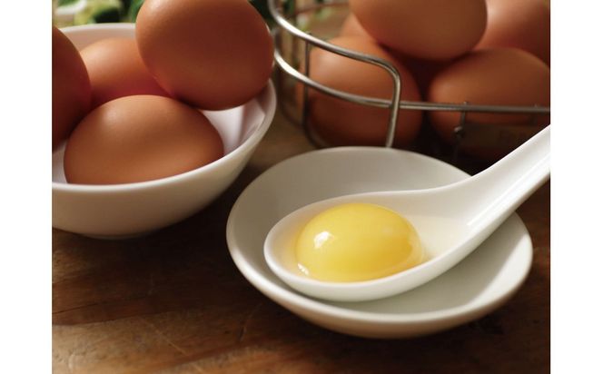 【ポロニ養鶏場】有精卵 計60個（10個×6パック）【 たまご ポロニ養鶏場 デザート ケーキ お菓子 標茶町 北海道 】 016641_AH005