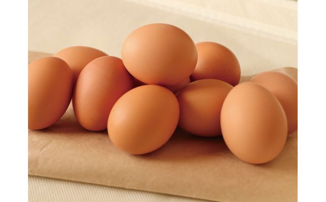 【ポロニ養鶏場】有精卵 計60個（10個×6パック）【 たまご ポロニ養鶏場 デザート ケーキ お菓子 標茶町 北海道 】 016641_AH005