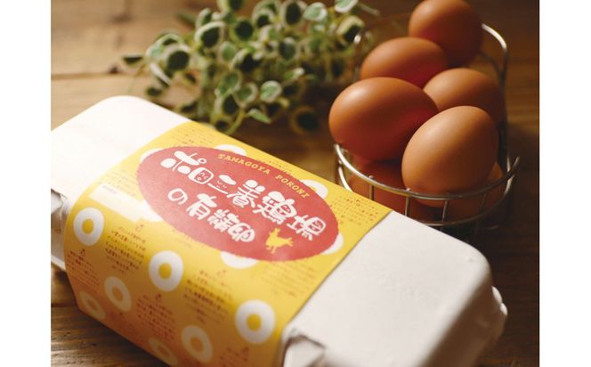 ポロニ養鶏場がお届けする3点セット　有精卵（計30個 10個×3パック）・プリン・シフォンケーキ【 たまご ポロニ養鶏場 デザート ケーキ お菓子 標茶町 北海道 】 016641_AH010