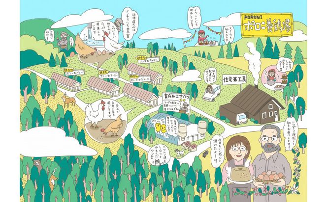 ポロニ養鶏場がお届けする3点セット　有精卵（計30個 10個×3パック）・プリン・シフォンケーキ【 たまご ポロニ養鶏場 デザート ケーキ お菓子 標茶町 北海道 】 016641_AH010