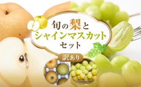 955.【訳あり】シャインマスカット（350ｇ前後）と旬の梨（5玉）セット≪ぶどう、マスカット、ブドウ、葡萄、なし 果物 フルーツ くだもの 鳥取県北栄町≫※8月下旬頃～9月中旬頃に順次発送 313726_AN001