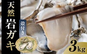 129.【先行予約】天然岩ガキ　3kg（殻付き）岩がき　牡蠣◇　※2025年6月～8月上旬頃に順次発送予定 ※北海道・沖縄・離島への配送不可 313726_AN031