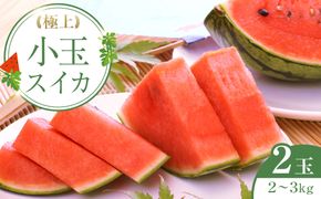 248.【先行予約】極上小玉スイカ　２玉　※6月上旬～8月中旬頃に順次発送予定 313726_AN043