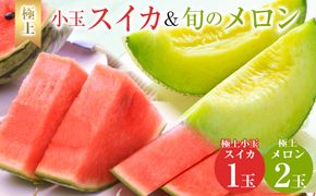254.【先行予約】極上小玉スイカと旬のメロン2玉セット ※6月上旬～7月下旬頃に順次発送予定 313726_AN049
