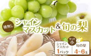 272.【先行予約】シャインマスカット(種無し)と旬の梨セット　小◇　※2025年8月下旬～9月下旬頃に順次発送予定 313726_AN054