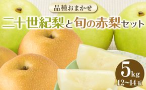282.【先行予約】二十世紀梨と旬の赤梨セット　５ｋｇ◇　※2025年8月下旬～9月下旬頃に順次発送予定 313726_AN058
