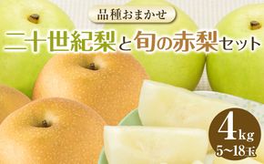 283.【先行予約】【品種はおまかせ】二十世紀梨と旬の赤梨セット◇≪二十世紀梨 幸水 秋栄 豊水 新甘泉 しんかんせん 新高梨 セット≫　※2025年8月下旬～9月下旬頃に順次発送予定 313726_AN059