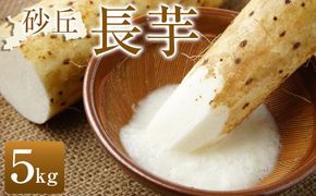 322.≪先行受注≫ 砂丘長芋　5kg ※2025年11月上旬～2026年3月下旬頃に順次発送予定 313726_AN081