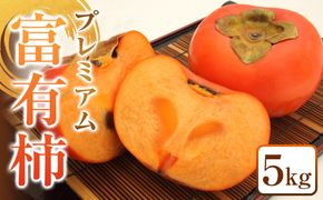 334.プレミアム　富有柿　5kg◇　※2025年11月上旬～12月上旬頃に順次発送予定 313726_AN084