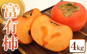 335.富有柿１箱　※2025年11月上旬～12月上旬頃に順次発送予定 313726_AN085