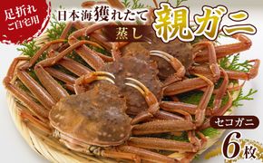 123.【蒸し】訳あり 足折れ ご自宅用 日本海獲れたて親ガニ（セコガニ）6枚　※2025年11月上旬～12月下旬頃に順次発送予定 313726_AN112