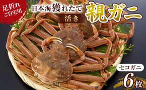 120.【先行予約】【活き】訳あり 足折れ ご自宅用 日本海獲れたて親ガニ（セコガニ）6枚　※2025年11月上旬～12月下旬頃に順次発送予定 313726_AN115