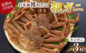121.【活き】訳あり 足折れ ご自宅用 日本海獲れたて親ガニ（セコガニ）3枚 ※2025年11月上旬～12月下旬頃に順次発送予定● 313726_AN116