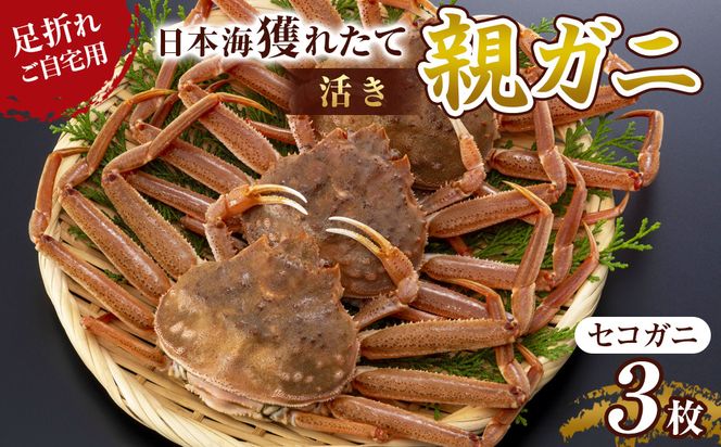 y挧khz121.ys\zyz󂠂 ܂ p {ClꂽĐeKjiZRKjj3 2025N11{`12{ɏ\ 313726_AN116