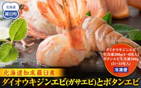 ダイオウキジンエビ(ガサエビ)とボタンエビのセット  えび エビ 海老 食べ比べ 魚介 魚介類 北海道 羅臼町 海産物 冷凍 刺身 フライ 生産者 支援 応援 016942_AH013