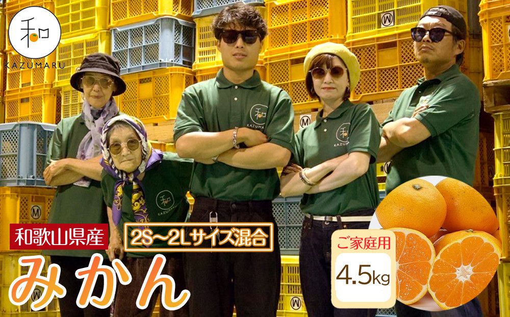 家庭用 森本農園の手選別 みかん 4.5kg 和歌山県産 2S~2Lサイズ混合 [北海道・沖縄・離島配送不可][RN7][2025年11月上旬から順次発送] 303446_DJ90007