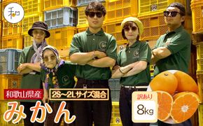 訳あり 森本農園の手選別 みかん 8kg 和歌山県産 2S~2Lサイズ混合 ［北海道・沖縄・離島配送不可］［RN10］［2025年11月上旬から順次発送］ 303446_DJ90010