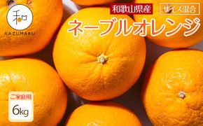 家庭用 森本農園の手選別ネーブルオレンジ 6kg 和歌山県産 サイズ混合 ［北海道・沖縄・離島配送不可］［RN34］［2026年1月上旬から順次発送］ 303446_DJ90034