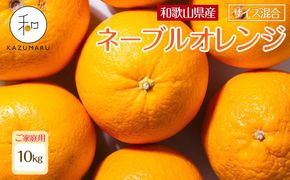 家庭用 森本農園の手選別ネーブルオレンジ 10kg 和歌山県産 サイズ混合 ［北海道・沖縄・離島配送不可］［RN35］［2026年1月上旬から順次発送］ 303446_DJ90035