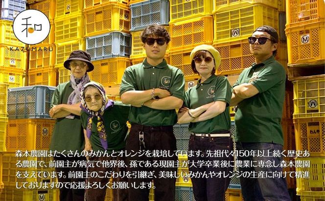 家庭用 森本農園の手選別ネーブルオレンジ 10kg 和歌山県産 サイズ混合 ［北海道・沖縄・離島配送不可］［RN35］［2026年1月上旬から順次発送］ 303446_DJ90035