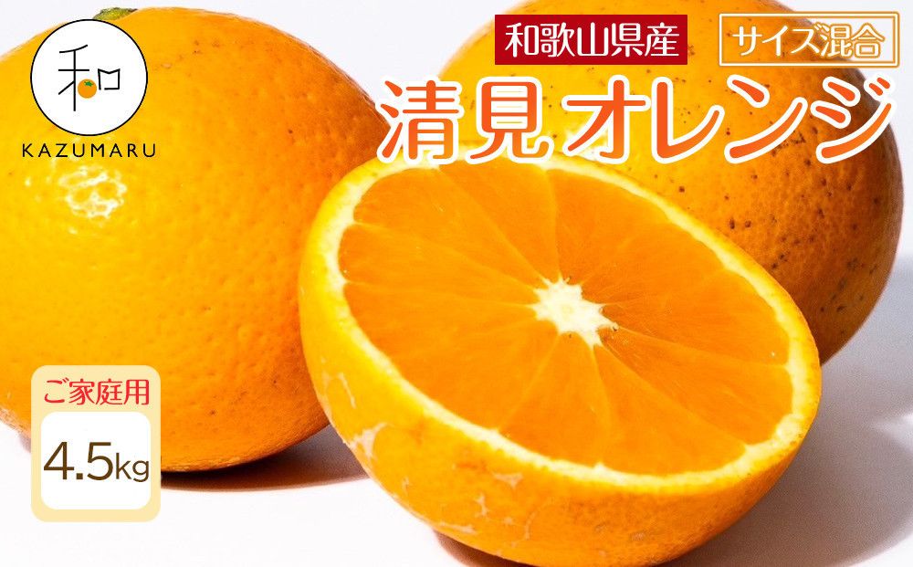 家庭用 森本農園の手選別 清見オレンジ 4.5kg 和歌山県産 サイズ混合 [北海道・沖縄・離島配送不可][RN22][2026年2月上旬から5月中旬頃順次発送予定] 303446_DJ90022
