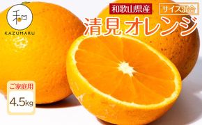家庭用 森本農園の手選別 清見オレンジ 4.5kg 和歌山県産 サイズ混合 ［北海道・沖縄・離島配送不可］［RN22］［2026年2月上旬から5月中旬頃順次発送予定］ 303446_DJ90022