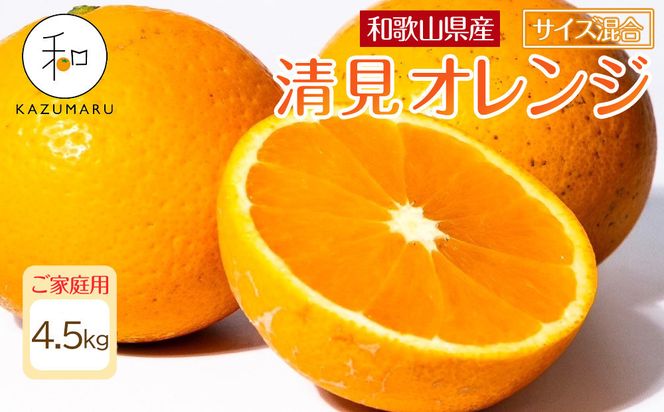 ya̎R쒬zƒp X{_̎I IW 4.5kg a̎RY TCY mkCEEzsnmRN22nm2026N2{5{\n 303446_DJ90022