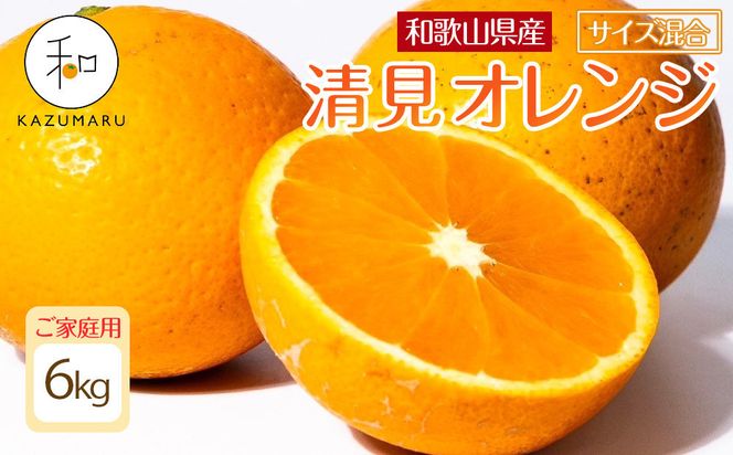 ya̎R쒬zƒp X{_̎I IW 6kg a̎RY TCY mkCEEzsnmRN38nm2026N2{5{\n 303446_DJ90038