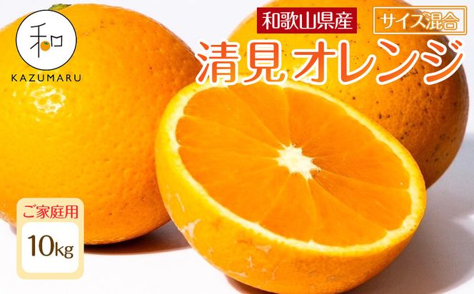 ya̎R쒬zƒp X{_̎I IW 10kg a̎RY TCY mkCEEzsnmRN39nm2026N2{5{\n 303446_DJ90039