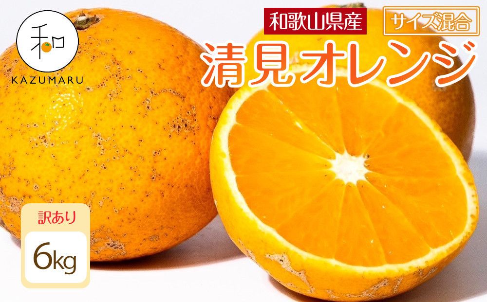 訳あり 森本農園の手選別 清見オレンジ 6kg 和歌山県産 サイズ混合 [北海道・沖縄・離島配送不可][RN24][2026年2月上旬から5月中旬頃順次発送予定] 303446_DJ90024