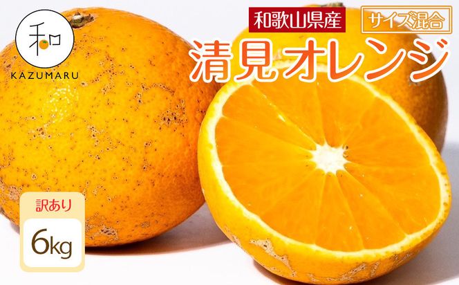 ya̎R쒬z󂠂 X{_̎I IW 6kg a̎RY TCY mkCEEzsnmRN24nm2026N2{5{\n 303446_DJ90024