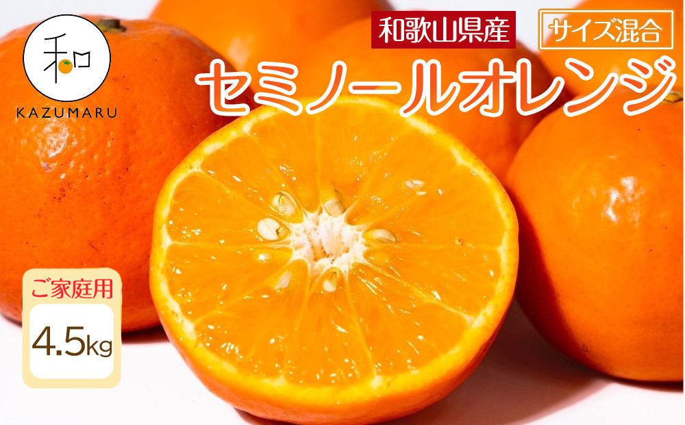 家庭用 森本農園の手選別 セミノールオレンジ 4.5kg 和歌山県産 サイズ混合 [北海道・沖縄・離島配送不可][RN27][2026年4月中旬から順次発送] 303446_DJ90027