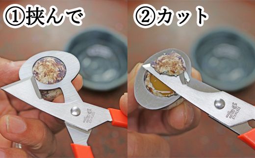 H5-132 うずら卵割器 プッチ ～うずら うずらのたまご うずらの玉子