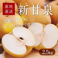 新甘泉 2.5kg【たにがみ農園】 312011_BY003