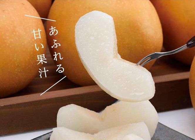 新甘泉 2.5kg【たにがみ農園】 312011_BY003