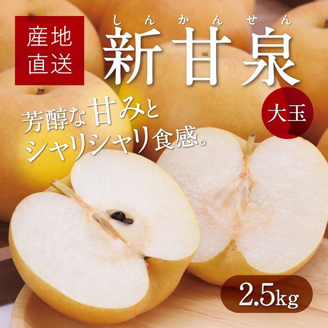 大玉新甘泉 2.5kg箱(5～7玉入)【たにがみ農園】 312011_BY009