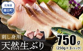 【2026年2月発送】北海道 知床羅臼産 天然ぶり刺身 750g（250g ×3パック） 魚 海産物 魚介 魚介類 ブリ 鰤 刺身 ご飯のお供 冷凍 生産者 支援 応援 016942_AA043VC04