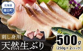【2026年3月発送】北海道 知床羅臼産 天然ぶり刺身 500g (250g×2パック) 魚 海産物 魚介 魚介類 ブリ 鰤 刺身 ご飯のお供 冷凍 生産者 支援 応援 016942_AA066VC03