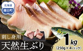 【2026年1月発送】北海道 知床羅臼産 天然ぶり刺身 1kg (250g×4パック) 魚 海産物 魚介 魚介類 ブリ 鰤 刺身 ご飯のお供 冷凍 生産者 支援 応援 016942_AA067VC01