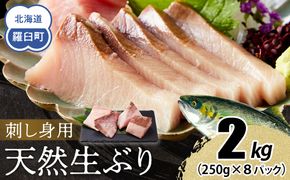 【2025年12月発送】北海道 知床羅臼産 天然ぶり刺身 2kg (250g×8パック) 魚 海産物 魚介 魚介類 ブリ 鰤 刺身 ご飯のお供 冷凍 生産者 支援 応援 016942_AA069VC12
