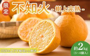 ［限定］不知火 樹上完熟 約2kg （5～6個入）［2026年2月下旬頃から3月下旬頃発送］［KG6］ 303446_XM90006