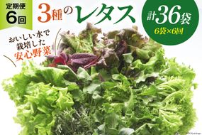 【6回定期便】富山のおいしい水で生産した安心野菜（6袋）[北陸機材 富山県 舟橋村 57050149] 野菜 野菜セット フラワーリーフ フリルレタス マルチレタス 水耕栽培 定期便