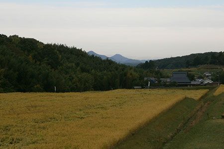 B-88 芳醇、吟香る山田錦入りビール「吟米麦酒」11本セット【北海道・沖縄・離島　配送不可】