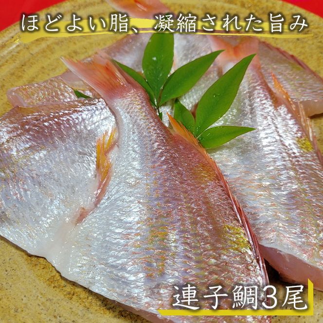 若狭湾 天然 鯖の西京漬け 鯛の一夜干し セット＜京風料理 新橋謹製＞≪京都 若狭 天然 国産 味噌 正月 新年≫ ※北海道・沖縄・離島への配送不可