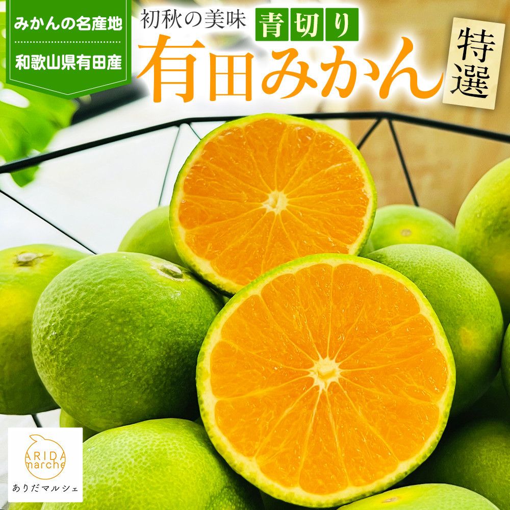 特選 青切り有田みかん 約2kg [2025年9月中旬より発送][MS20] 303446_XD90146