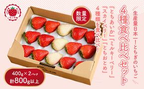 大満足4種食べ比べセット（とちおとめ、ミルキーベリー、とちあいか、スカイベリー）400g×2パック 800g｜先行予約 数量限定 栃木県 果物 くだもの フルーツ 苺 イチゴ ※2025年2月上旬～4月中旬頃に順次発送予定