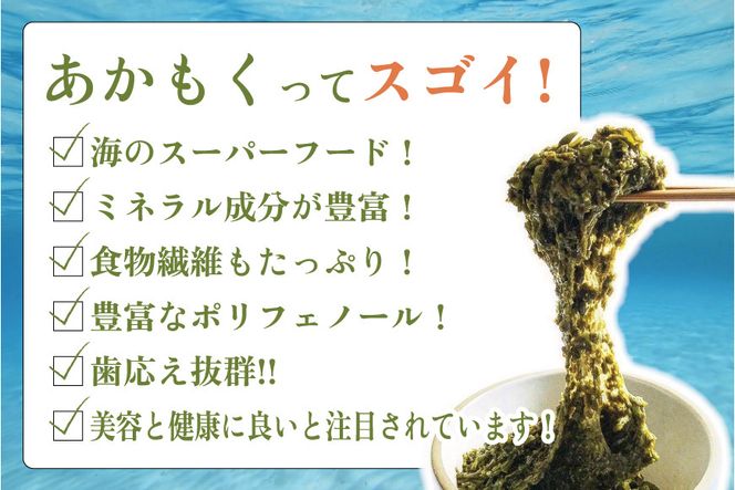 紀州あかもく［由良町産］100g×10パック（2024年産）【SL12】 303446_CG90007